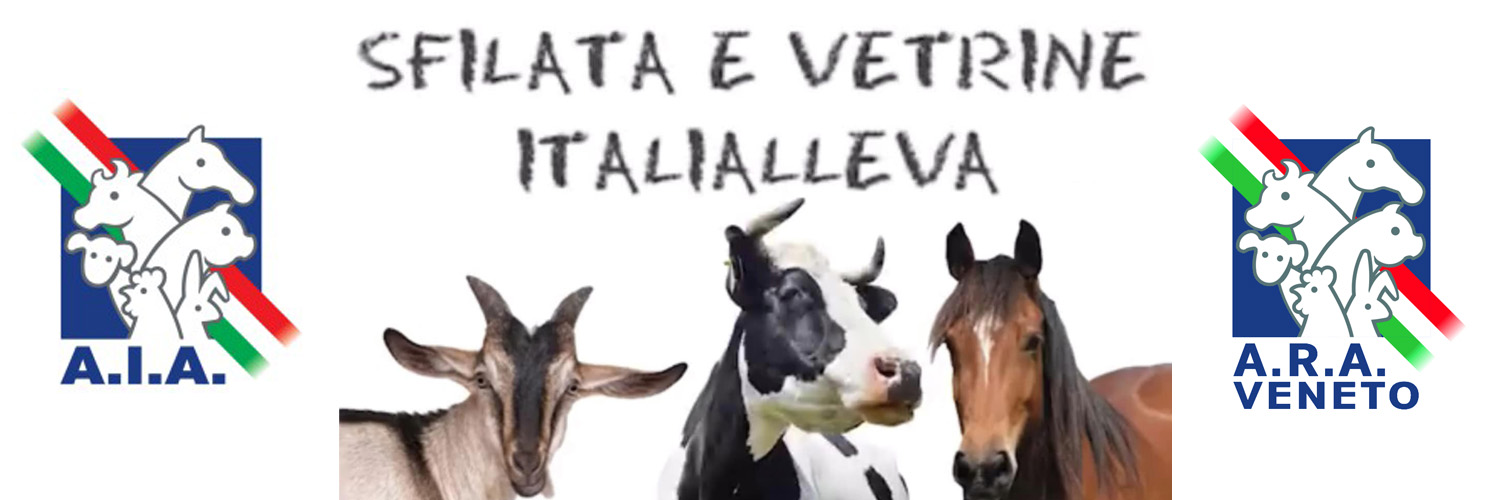 Passione Veneta Vicenza